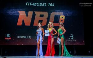 FIT-MODEL 164 (2 раунд)